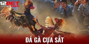 1759914935759.png