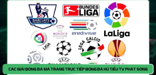 1761825237392.png 1761825237392.png