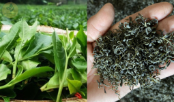 1762417050968.png 1762417050968.png